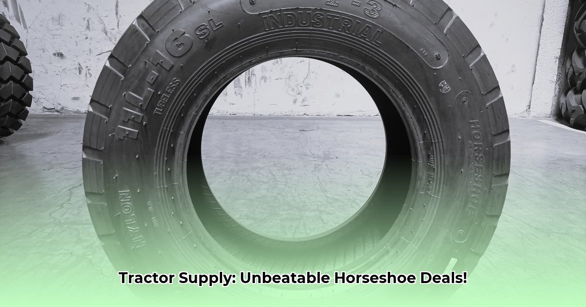 horseshoes-tractor-supply
